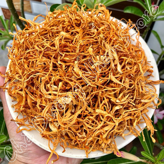 Nấm đông trùng hạ thảo 50g - 100g nấu chè dưỡng nhan 