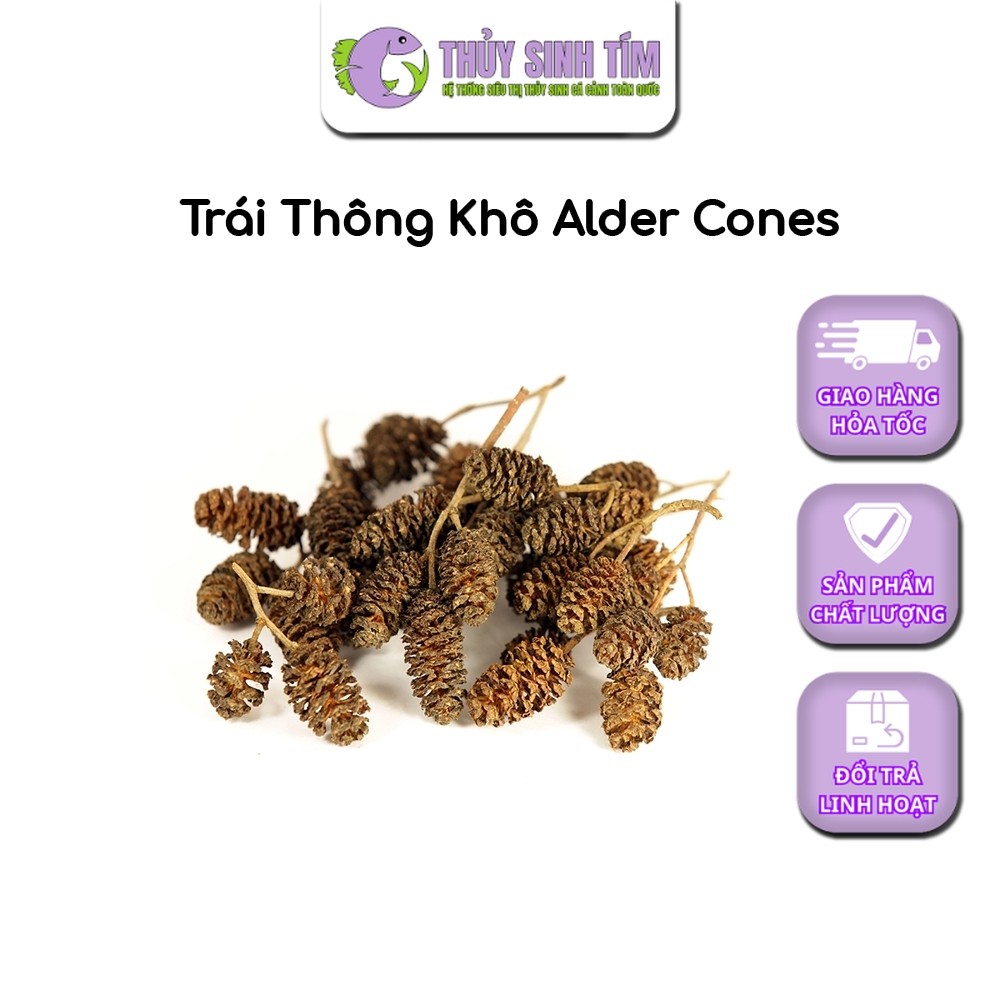 Trái Thông Khô ALDER CONES (Erlenzaphen)
