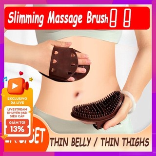 Đặt bàn chải Massage toàn thân để trị liệu giảm béo và kinh tuyến với lông mềm