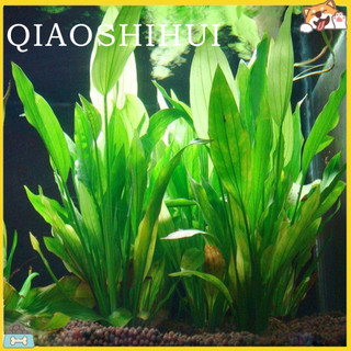 Cây giả sống động trang trí cho bể cá