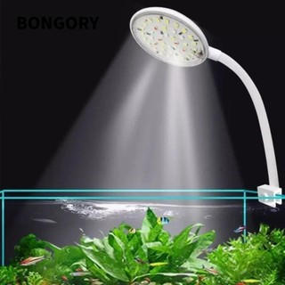 BONGORY Đèn trồng cây hồ cá , Đèn kẹp bể cá LED Mini 5 / 7W, Đèn bể cá USB phòng khách có thể điều chỉnh