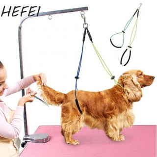 HEFEI Dog Grooming Loop Harness No-Sit Cat Clip Rope Đứng Huấn Luyện Haunch Holder