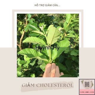 250gr đọt ổi khô nguyên chất hút chân không
