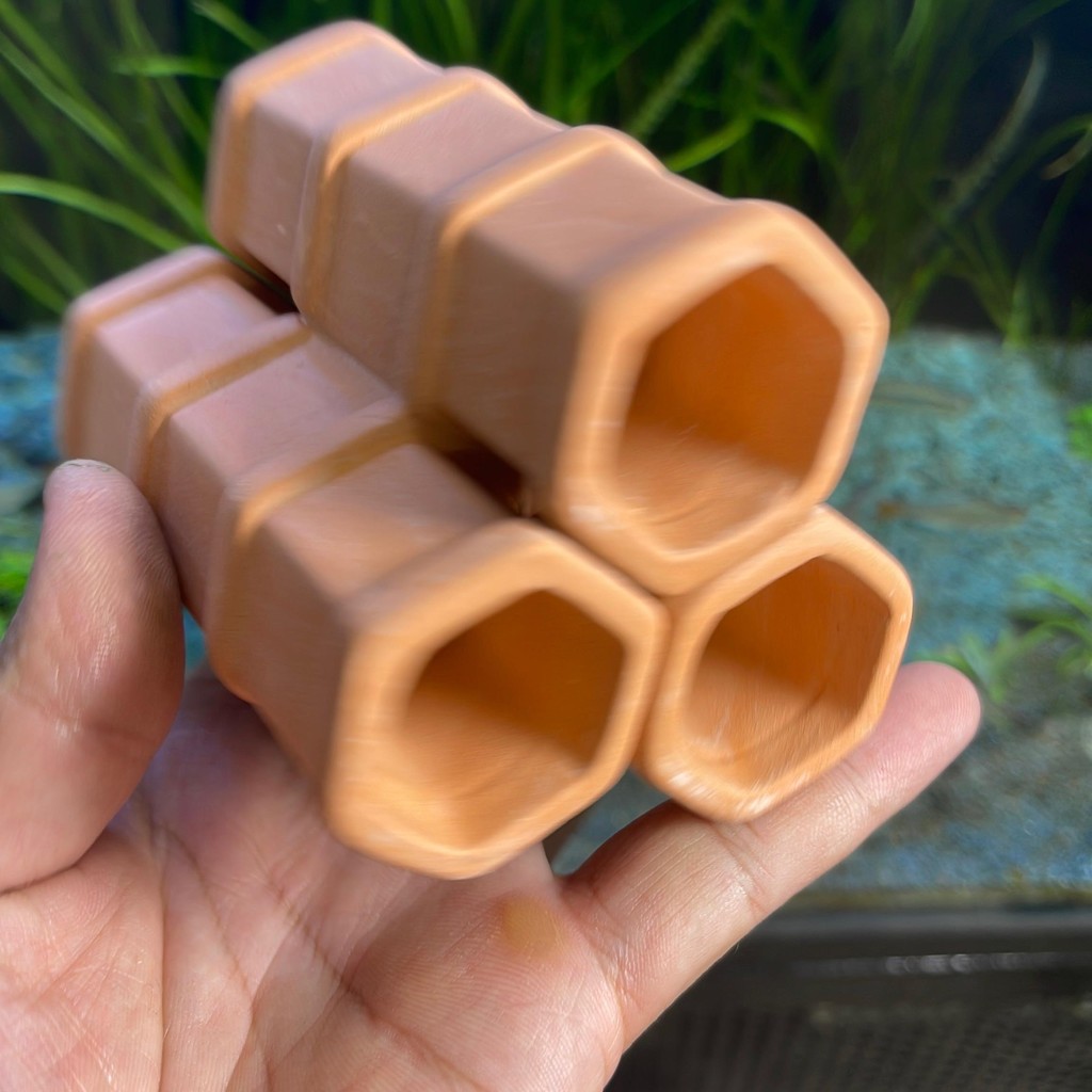 Hang gốm cho ca pleco , cá chuột