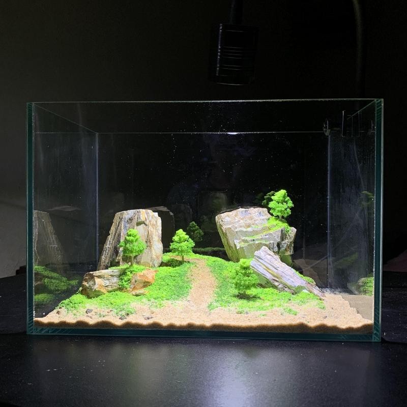 [Full combo bể 30x20x20 đầy đủ phụ kiện] bộ bể cá tiểu cảnh núi đá sườn đồi. Sỏi, cát, đá tự nhiên.