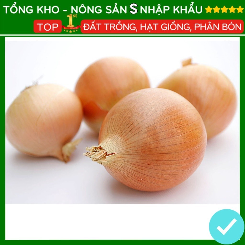 Hạt Giống Hành tây F1 Cap Sản, Phát Triển Nhanh, Dễ Trồng, Nảy Mầm Nhanh