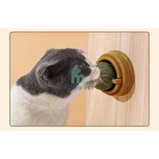 Cỏ CATNIP Bạc Hà Gắn Tường Dạng Xoay Giúp Thư Giãn Tiêu Búi Lông Cho Mèo - METRO PET