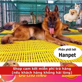   Loại 1 nặng 1,4kg  Tấm nhựa ghép lót sàn chuồng chó mèo 