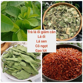 Trà lá ổi 4 vi giảm cân 30 túi lọc  hỗ trợ giảm cân, ổn định,mỡ máu...