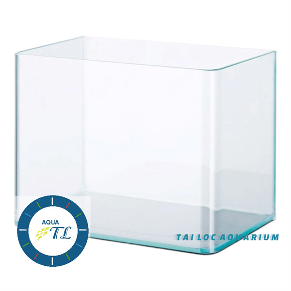 Bể kính đúc siêu trong 30cm (30x18x24 cm) : kính cong, siêu trong, siêu nét bể cá cảnh, bể thủy sinh