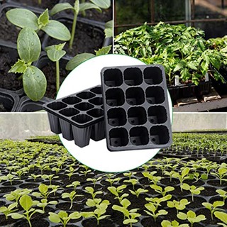 Practical Seed Starting Trays for Robust For Vegetable and Fruit Seedlings 10pcs