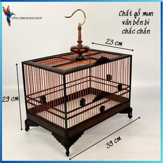 Lồng tập lực ( RÁP SẴN ) dành cho chim khuyên, chim hút mật form chữ nhật, chất liệu gỗ mun cao cấp, tặng kèm phụ kiện