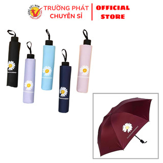 Dù che nắng - ô dù hoa cúc hàn quốc thời trang truongphatchuyensi