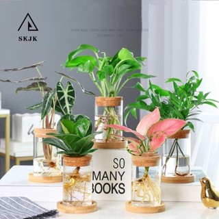 Chậu hoa thủy canh SKJK, Chậu thủy tinh trong suốt thủy tinh, Bể cá dày tròn Bình thủy tinh sinh thái Mini trồng hoa