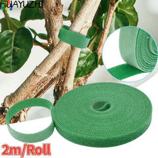 2m / Cuộn DIY Dây Buộc Thực Vật Nylon Băng Velcro Móc Vòng Tre Cane Bọc Dây Buộc Phụ Kiện Sân Vườn