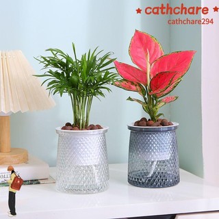 Chậu hoa CATCHRE294, Chậu cây tự tưới nước có thể nhìn thấy mực nước, Đồ dùng làm vườn bằng nhựa chất lượng cao Chậu trồng thủy canh