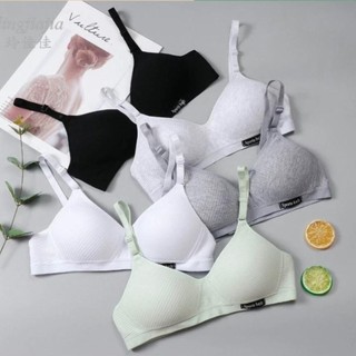  AHSCC_Combo 3 Áo lót nữ Cotton mút mỏng không Gọng .... có chữ Bra Áo Ngực 