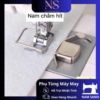 Nam châm cử