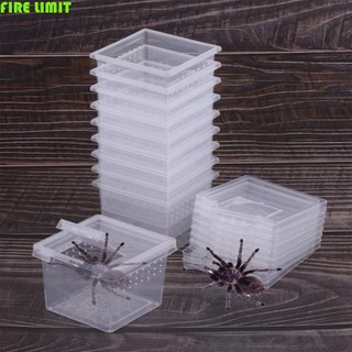 Fire LIMIT Hatching Tank Phụ kiện bò sát thực tế Trong suốt Bền 1 Hộp đựng côn trùng gia đình