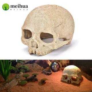 Trang trí đầu lâu bằng nhựa MEIHUA, Thiết kế đầu lâu Không hòa tan trong trang trí bể cá nước, Chất lượng không độc hại Mô phỏng cao Bể cá cảnh quan bể cá
