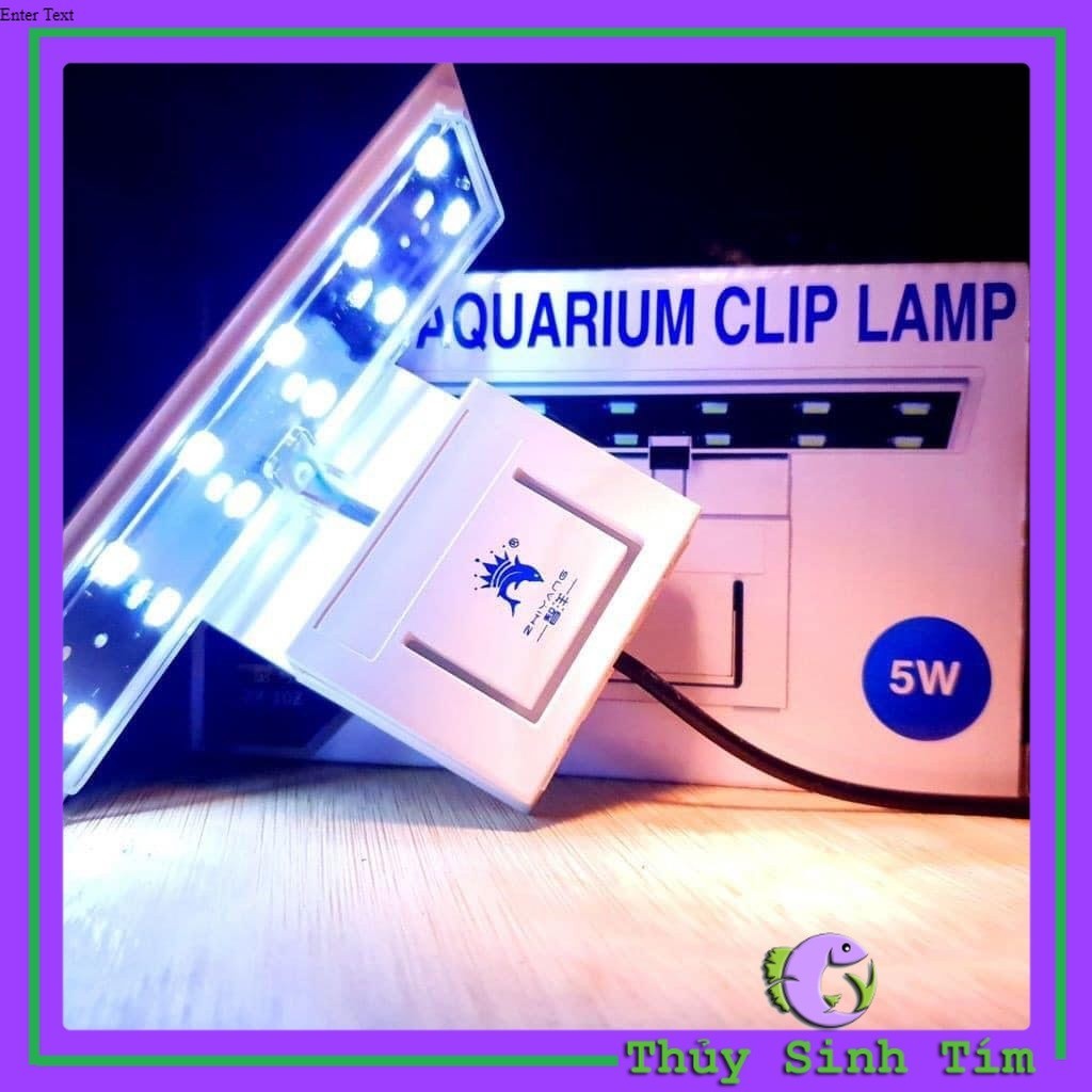 Đèn LED Kẹp ZY-10 Cho Bể Cá Mini