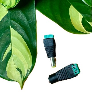 ( 5 CÁI ) Jack nguồn đực - cái DC 5.5x2.1mm có ốc vặn.