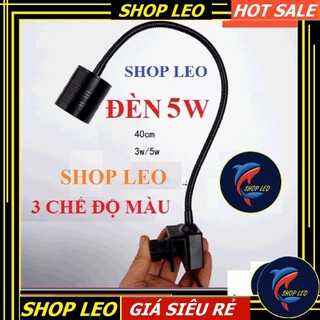 Đèn Led rọi 5W - 3 chế độ màu (kẹp thành bể)