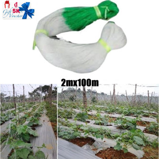 2M X 100M Giàn Lưới Hỗ Trợ Trồng Cây Dây Leo,Lưới Làm Giàn Cây Leo: Dưa Chuột, Khổ Qua, Mướp, Bầu Bí
