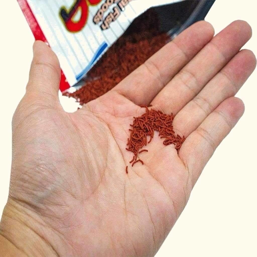 Cám hikari vibra bites cho cá cảnh nhiệt đới