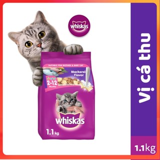 [Hỏa Tốc] WHISKAS Thức ăn cho mèo con dạng hạt vị cá thu, cá biển 1.1kg - Milky Pet