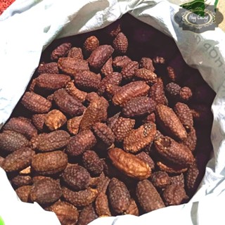 Chuối hột rừng Tây Bắc quả tròn sấy khô ngâm rượu loại 1 (500g, 1kg). Đồ ngâm rượu chuối hạt rừng Tây Nguyên