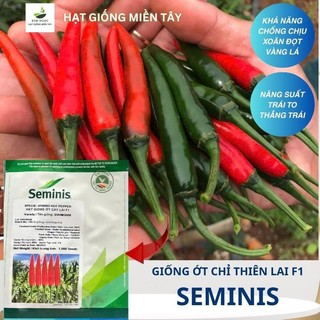 hạt giống ỚT chỉ thiên PHÙ SA - seminis