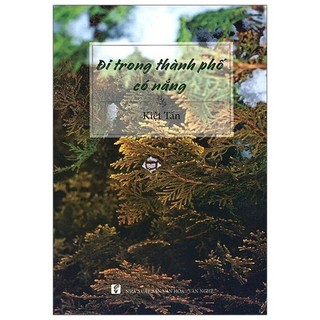 Sách - Đi Trong Thành Phố Có Nắng