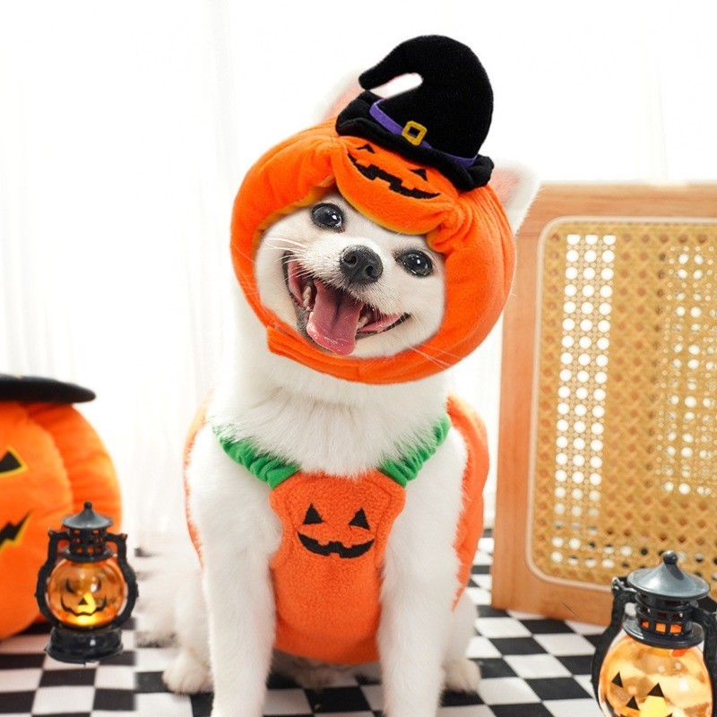 Thú Cưng Chó Mèo Nón Halloween Ma Lễ Hội Mèo Con Trang Trí Hood Chó Con Ngộ nghĩnh Bí Ngô Mũ Đồ Dùng Cho Thú Cưng