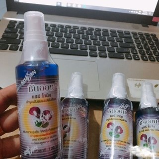 XỊT MỌC TÓC bưởi Sun on Thái Lan