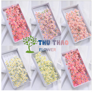  Hoa sáp thơm Cúc Tana  50 bông  trang trí bó hoa hộp quà tạo điểm nhấn xinh đẹp 