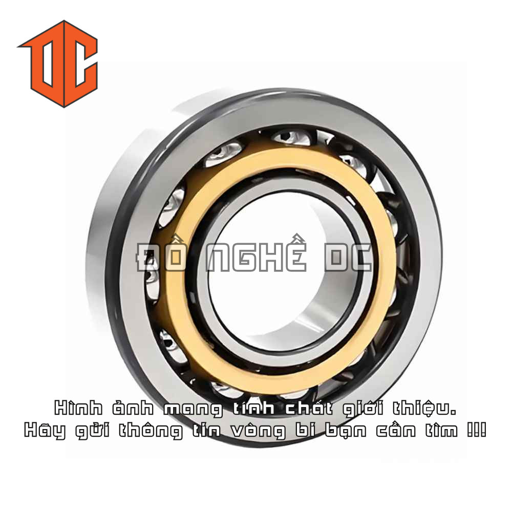 Vòng bi XLZY NJ313 NJ210 NJ310 NJ2209 N307 N310 NU214 NA6912 NJ312 NA4919 NU212 NJ315 NJ2210 N216 NA