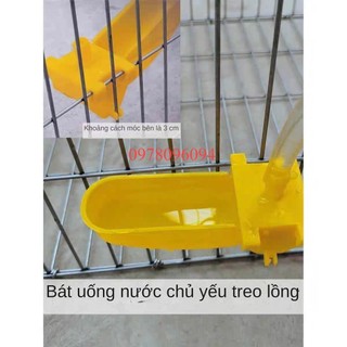 Máng uống tự động cho chim cút máng uống nước tự động cho bồ câu máng nước tự dộng cho gà uống nước tự động