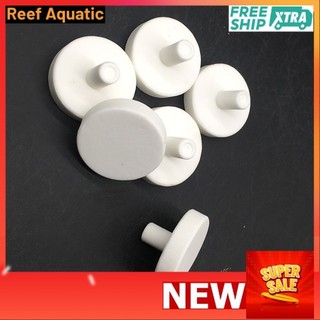 Đế frag gắn san hô cho bể cá biển, tổng hợp các dạng frag, chất liệu gốm sứ
