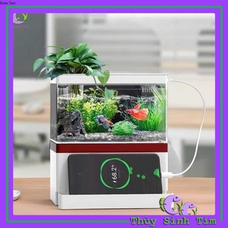 Bể Cá Mini Fish Tank Để Bàn Làm Việc, Bàn Học