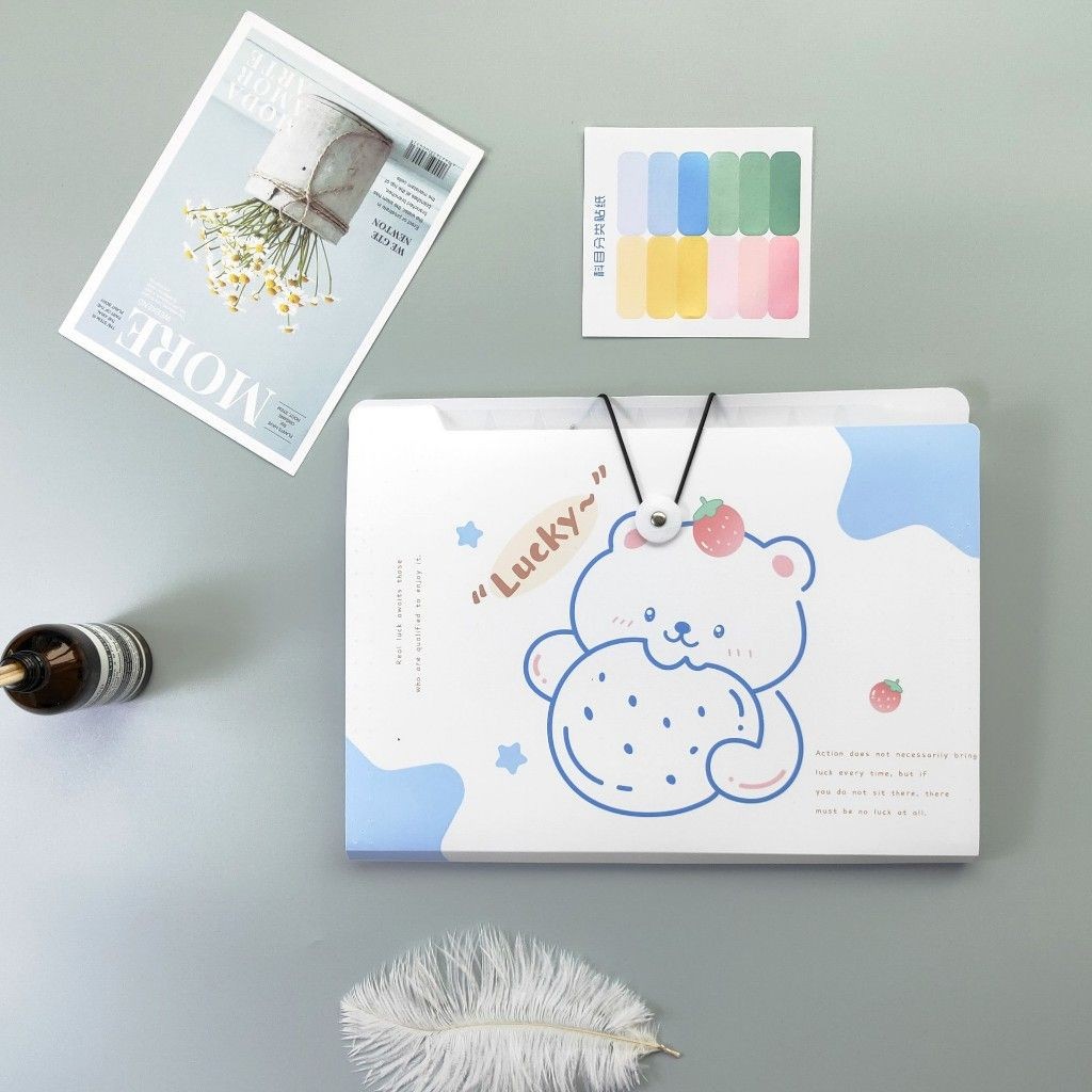 Túi đựng tài liệu tệp đựng tài liệu nhiều ngăn kẹp tài liệu A4 đựng đề cương - TÚI TL