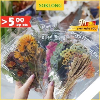 Set Sticker hoa lá cỡ lớn trong suốt - Sticker Vintage dán trang trí