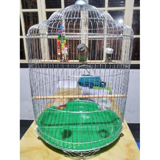Lồng chim sáo, cưỡng, nhồng sắt sơn bạc (tặng kèm máng)