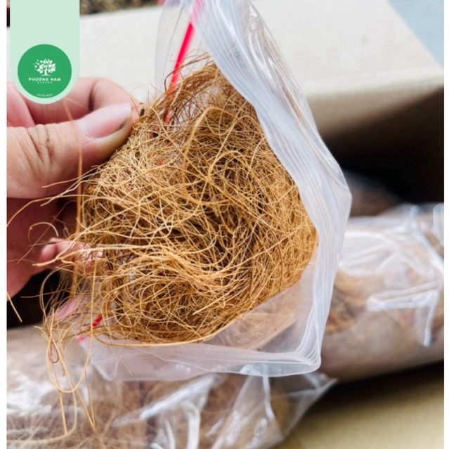 Chỉ dừa 🥥  xơ dừa đa dụng quấn cây ghép lũa ,giữ ẩm cho bộ rễ cây