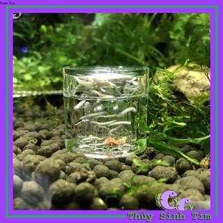 Bẫy Sán Acrylic Cho Bể Thủy Sinh