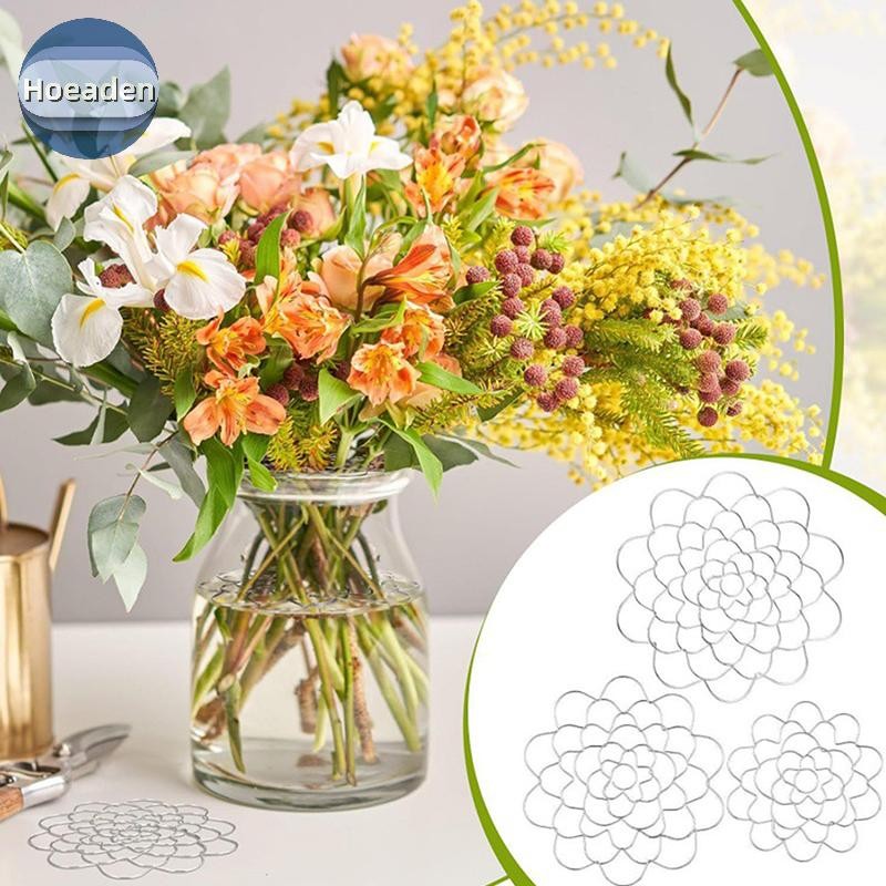 Hoeaden Xoắn Ốc Ikebana Thân Giá Đỡ Xoắn Ốc Ikebana Thân Cây Cho Bình Hoa Sắp Xếp Xoắn Ốc Thân Giá Đ