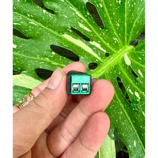 ( 5 CÁI ) Jack nguồn đực - cái DC 5.5x2.1mm có ốc vặn.