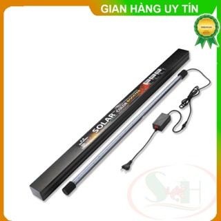 Đèn led Neo Helios Solar Color Booster ST series kích tanning màu bể cá tép thủy sinh cảnh store3