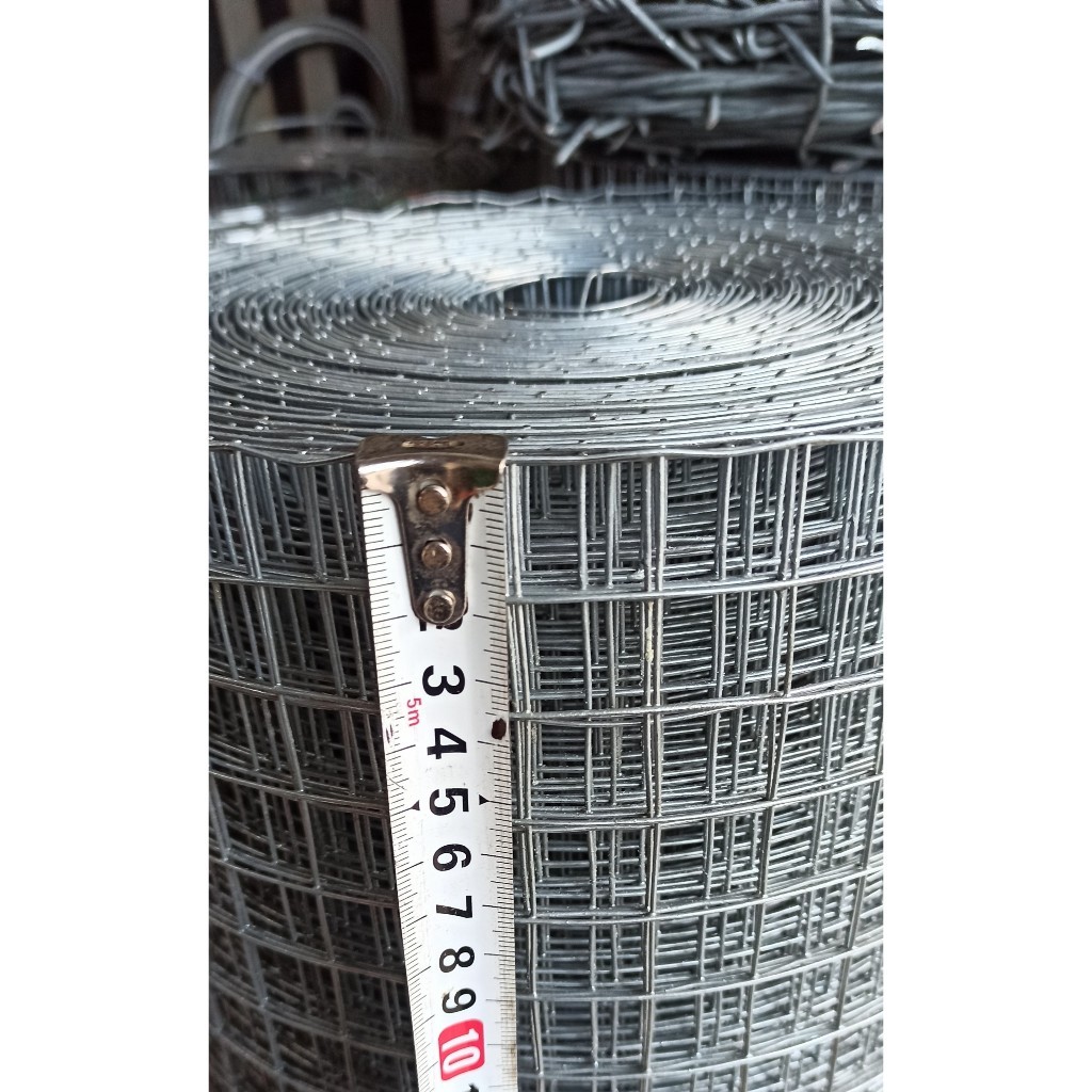 10m Lưới sắt, lưới sắt mạ kẽm, lưới ô vuông ô 2cm, khổ cao 1m, sợi thép to