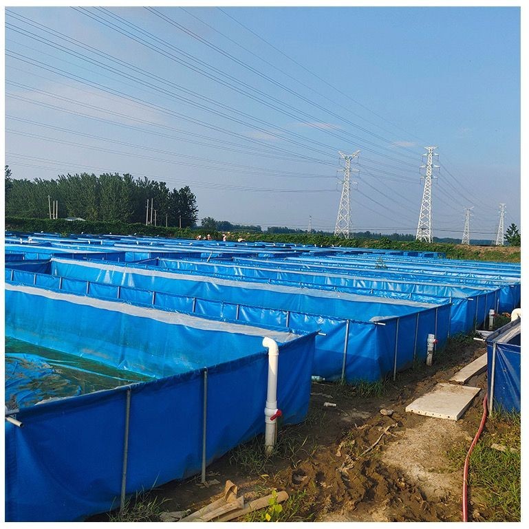 Vải bạt bể cá bể cá bể cá vải bạt bể bơi ngoài trời vải bạt bể nuôi dày
